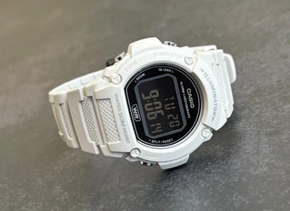Casio W-219HC-8B